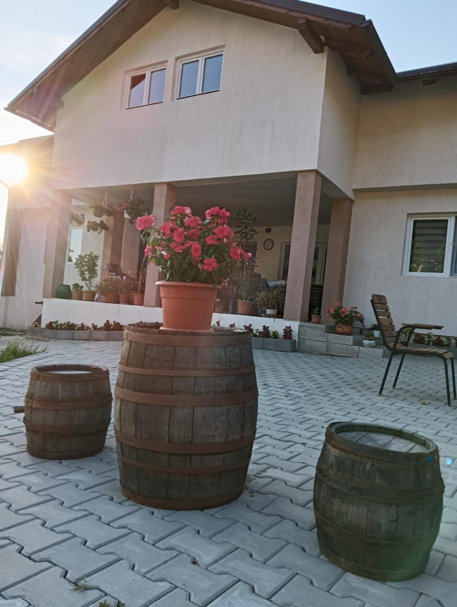 Hotel Casa Maksai Sovata Exterior foto